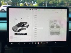 Tesla Model 3 2021 Standard Range RWD Upgrade 3D6 - ფოტო 13