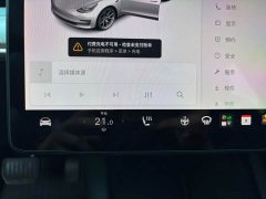Tesla Model 3 2021 Standard Range RWD Upgrade 3D6 - ფოტო 14
