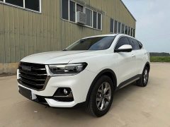 Haval H6 2021 National Trend 2.0GDIT Automatic Champion Edition - ფოტო 1