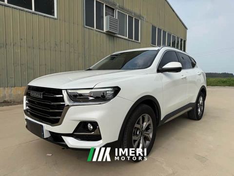 2023 Haval H6 National Trend 2.0GDIT Automatic Champion Edition