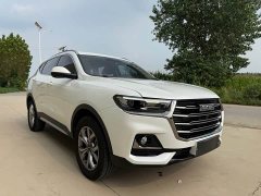Haval H6 2021 National Trend 2.0GDIT Automatic Champion Edition - ფოტო 3