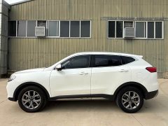 Haval H6 2021 National Trend 2.0GDIT Automatic Champion Edition - ფოტო 4
