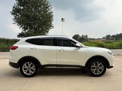 Haval H6 2021 National Trend 2.0GDIT Automatic Champion Edition - ფოტო 8