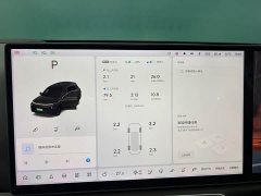 Li Auto L8 Pro - ფოტო 11