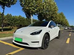 Tesla Model Y Performance All-Wheel Drive - ფოტო 1