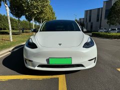 Tesla Model Y Performance All-Wheel Drive - ფოტო 2