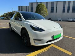 Tesla Model Y Performance All-Wheel Drive - ფოტო 3