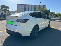 Tesla Model Y Performance All-Wheel Drive - ფოტო 4