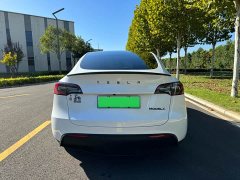 Tesla Model Y Performance All-Wheel Drive - ფოტო 5