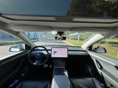 Tesla Model Y Performance All-Wheel Drive - ფოტო 7