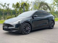 Tesla Model Y Performance All-Wheel Drive - ფოტო 1