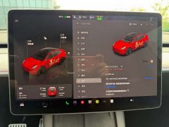 Tesla Model Y Performance All-Wheel Drive - ფოტო 12