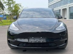 Tesla Model Y Performance All-Wheel Drive - ფოტო 2