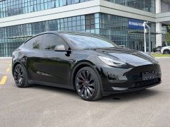 Tesla Model Y Performance All-Wheel Drive - ფოტო 3