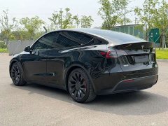 Tesla Model Y Performance All-Wheel Drive - ფოტო 6