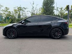 Tesla Model Y Performance All-Wheel Drive - ფოტო 7