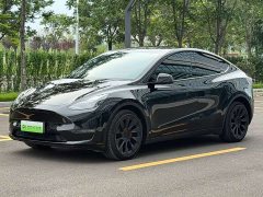 Tesla Model Y Long Range All-Wheel Drive - ფოტო 1