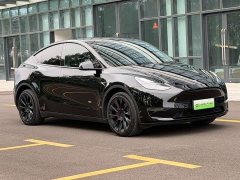 Tesla Model Y Long Range All-Wheel Drive - ფოტო 3