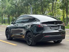 Tesla Model Y Long Range All-Wheel Drive - ფოტო 4