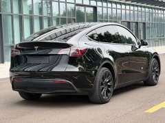 Tesla Model Y Long Range All-Wheel Drive - ფოტო 6