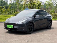 Tesla Model Y Long Range All-Wheel Drive - ფოტო 1
