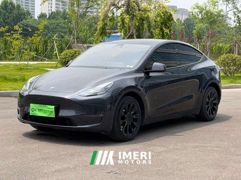 2024 Tesla Model Y Long Range All-Wheel Drive - ავტომობილი ჩინეთიდან