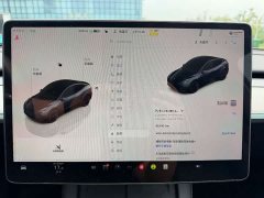Tesla Model Y Long Range All-Wheel Drive - ფოტო 11