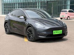 Tesla Model Y Long Range All-Wheel Drive - ფოტო 3
