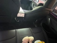 Tesla Model Y Rear-Wheel Drive - ფოტო 13