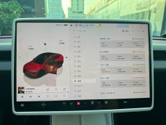 Tesla Model Y Rear-Wheel Drive - ფოტო 14