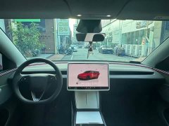 Tesla Model Y Rear-Wheel Drive - ფოტო 9