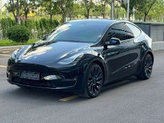 Tesla Model Y 2023 High Performance All-Wheel Drive - ფოტო 1