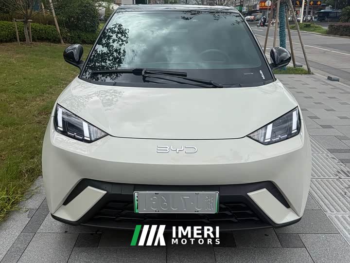 BYD Seagull 305km Freedom Edition - ავტომობილი ჩინეთიდან