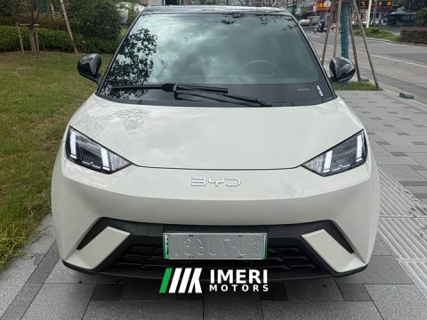 2025 BYD Seagull 305km Freedom Edition - ავტომობილი ჩინეთიდან