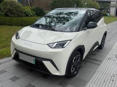 BYD Seagull 305km Freedom Edition - ფოტო 2