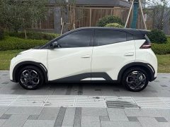 BYD Seagull 305km Freedom Edition - ფოტო 3