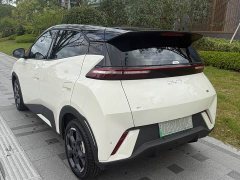 BYD Seagull 305km Freedom Edition - ფოტო 5
