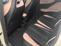 BYD Seagull 305km Freedom Edition - ფოტო 9