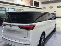 Buick GL8 2023 ES Luxe Enjoyment Edition - ფოტო 11