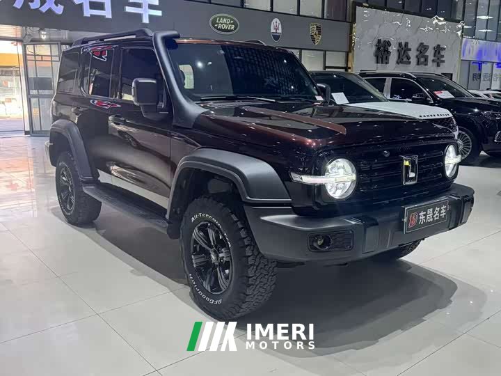 Tank 300 Off-Road Edition 2.0T Conqueror - ავტომობილი ჩინეთიდან