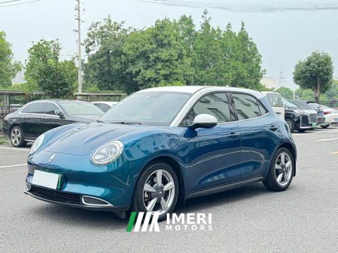 2021 ORA Good Cat 400km Standard Range Athena Edition LFP Battery - ავტომობილი ჩინეთიდან