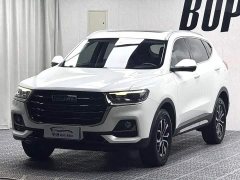 Haval H6 National Trend Edition 1.5T Automatic Urban Version - ფოტო 1