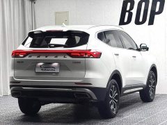 Haval H6 National Trend Edition 1.5T Automatic Urban Version - ფოტო 13