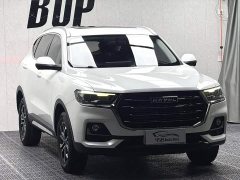Haval H6 National Trend Edition 1.5T Automatic Urban Version - ფოტო 3
