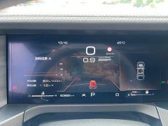Tank 300 2021 Off-Road Edition 2.0T Conqueror - ფოტო 7