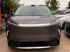 Buick Zhijing Shijia Pure Electric Luxury Edition - ფოტო 2