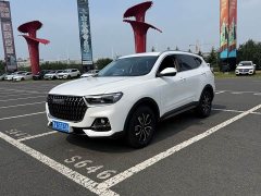 Haval H6 National Trend Edition 1.5T Automatic Urban Version - ფოტო 1