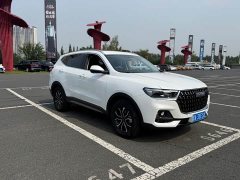 Haval H6 National Trend Edition 1.5T Automatic Urban Version - ფოტო 3