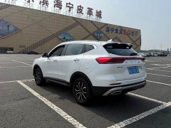 Haval H6 National Trend Edition 1.5T Automatic Urban Version - ფოტო 6