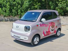 FAW Pony 222km - ფოტო 1